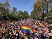 Gobierno se resta de declaración LGBTIQ+ en la OEA